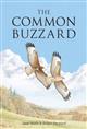 The Common Buzzard