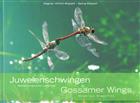 Juwelenschwingen Geheimnisvolle Libellen / Gossamer wings Mysterious Dragonfles