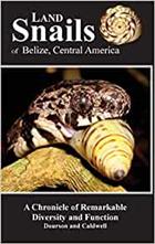 d Snails of Belize, Central America: A remarkable Chronicle of Diversity and Function