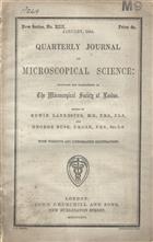 Quarterly Journal of Microscopical Science. [Vol. IV] New Series, No. XIII-XV