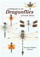 A Field Guide to the Dragonflies of South Africa