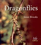 Dragonflies