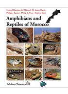 Amphibians and Reptiles of Morocco