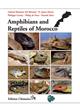 Amphibians and Reptiles of Morocco