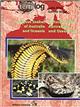 Venomous Snakes of Australia and Oceania