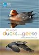 RSPB Spotlight Ducks and Geese