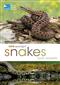 RSPB Spotlight Snakes