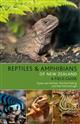 Reptiles and Amphibians of New Zealand: A Field Guide