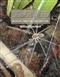 Spider Webs: Behavior, Function, and Evolution
