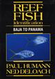 Reef Fish Identification: Baja to Panama