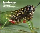 Grasshoppers of Northwest South America. A Photo Guide. Vol. 3: The Amazonian Fauna