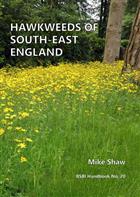 Hawkweeds of southeast England