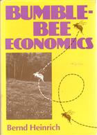 Bumblebee Economics