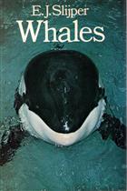 Whales