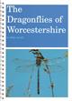 The Dragonflies of Worcestershire