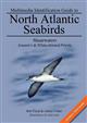 Multimedia Identification Guide to North Atlantic Seabirds: Shearwaters: Jouanin's & White-Chinned Petrels