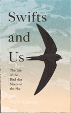 Swifts and Us: The Life of the Bird that Sleeps in the Sky