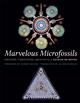 Marvelous Microfossils: Creators, Timekeepers, Architects