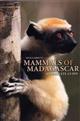 Mammals of Madagascar: A Complete Guide