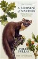 A Richness of Martens: Wildlife Tales from Ardnamurchan