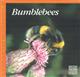 Bumblebees Naturally Scottish
