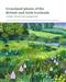 Grassland Plants of the British and Irish Lowlands: ecology, threats and management