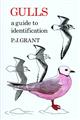 Gulls: A Guide to Identification