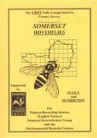 Somerset Hoverflies