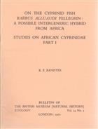 On the cyprinid Fish Barbus alluaudi Pellegrin: A possible intergeneric hybrid from Africa. Studies on African Cyprinidae Pt. 1