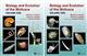 Biology and Evolution of the Mollusca 2 Volume