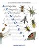 Arthropedia: An Illustrated Alphabet of Invertebrates