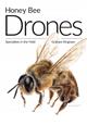 Honey Bee Drones: Specialists in the Field