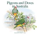 Pigeons and Doves in Australia