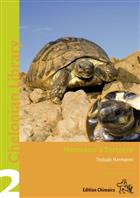 Hermann's Tortoise. Testudo hermanni, T. boettgeri and T. hercegovinensis