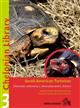South American Tortoises. Chelonoidis carbonaria, C. denticulata and C. chilensis