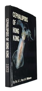 Cephalopods of Hong Kong