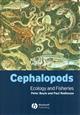 Cephalopods: Ecology and Fisheries