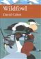 Wildfowl (New Naturalist 110)