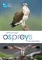 RSPB Spotlight Ospreys