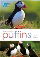 RSPB Spotlight Puffins