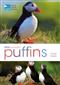 RSPB Spotlight Puffins