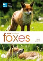 RSPB Spotlight Foxes