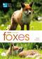 RSPB Spotlight Foxes