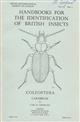 Coleoptera Carabidae (Handbooks for the Identification of British Insects 4/2)