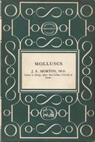 Molluscs