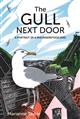 The Gull Next Door