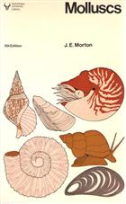 Molluscs