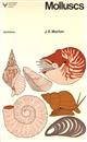 Molluscs