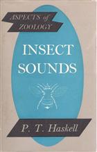 Insect Sounds