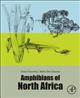 Amphibians of North Africa